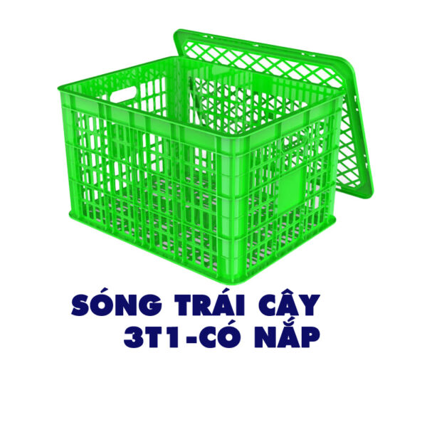 Sóng Trái Cây 3T1 – Có Nắp